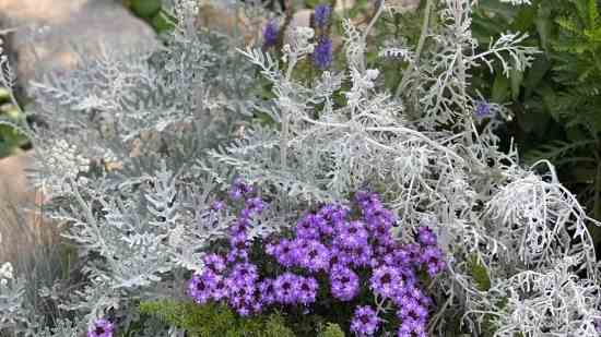 高冷的游戏名字两个字