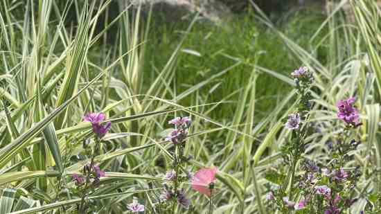 3个字诗意唯美游戏名字