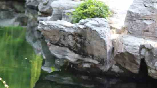 王者荣耀霸气超拽英文名字