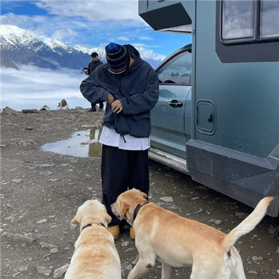 带熊符号网名男生英文版(精选100个)