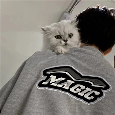 系统网名男生可爱(精选100个)