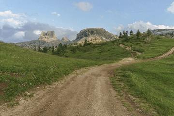 元旦节女孩取名字