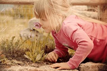 2024女娃娃取名100分