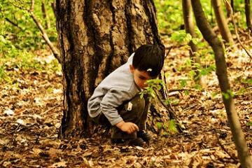 属龙女宝宝取名字大全