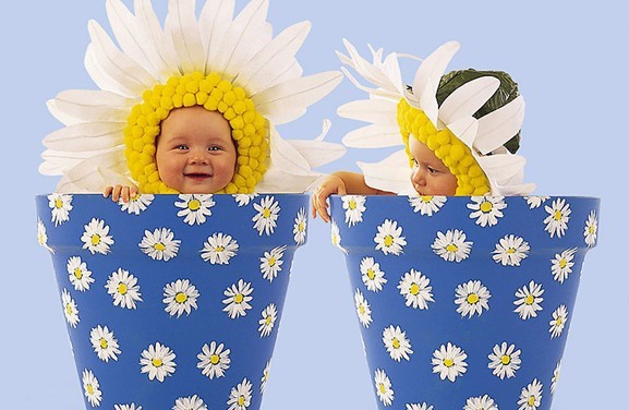 如何给双胞胎取名