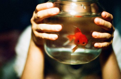 帅气有情义的家族名字大全 游戏名字