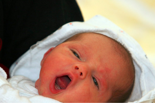 2022属虎的女孩清丽脱俗的名字  生肖取名