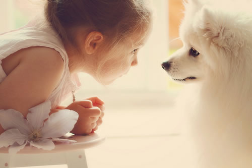 2022属虎的女生自信独立的名字  生肖取名