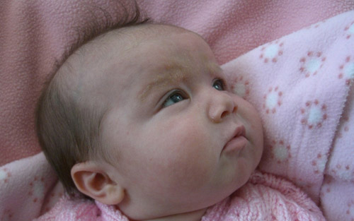 属牛带草字头的男孩名字  生肖取名