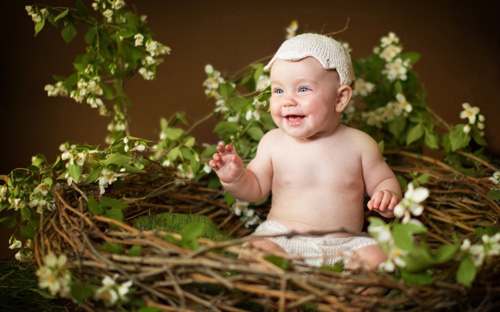 牛年名字大全男孩名字  生肖取名