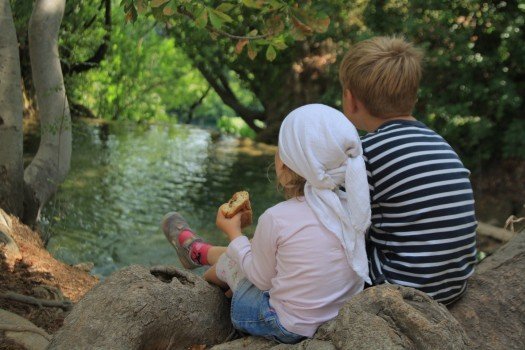 属牛好听的男孩名字大全  生肖取名