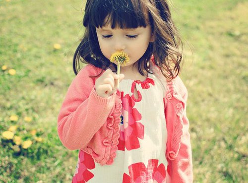 燕姓女孩子好听的名字2021牛年  生肖取名