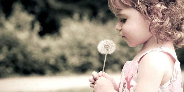 2021牛年出生的杨姓女孩起名字  生肖取名