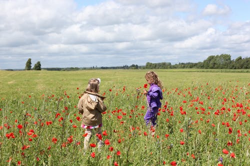 好听的茅姓女孩名字2020鼠年  生肖取名