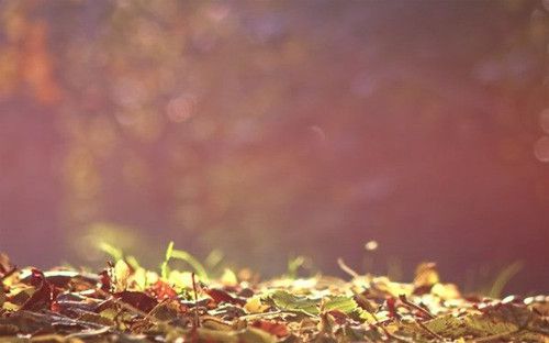 努力向上的励志微信昵称 微信网名