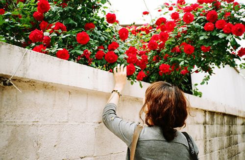 带宜字的女宝宝名字  女宝宝取名