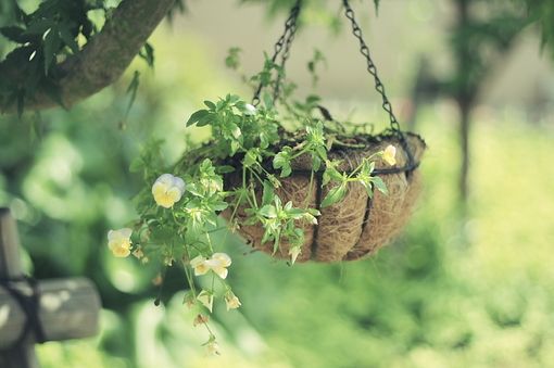 带思字的女宝宝名字  女宝宝取名