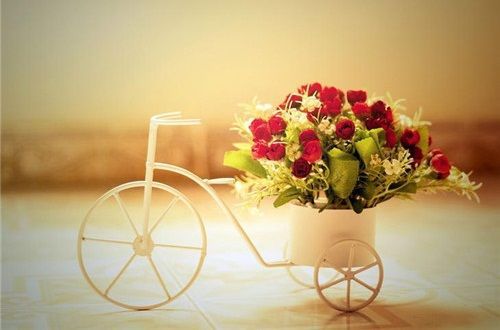 带丽字的女宝宝名字  女宝宝取名