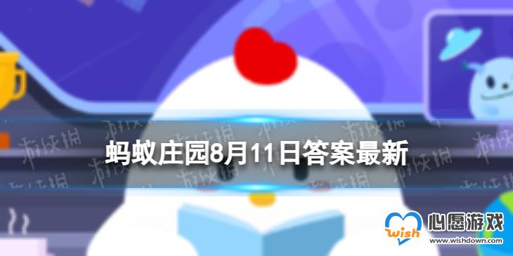 西北美食臊子面中的臊子指的是肉丁还是腰子_wishdown.com