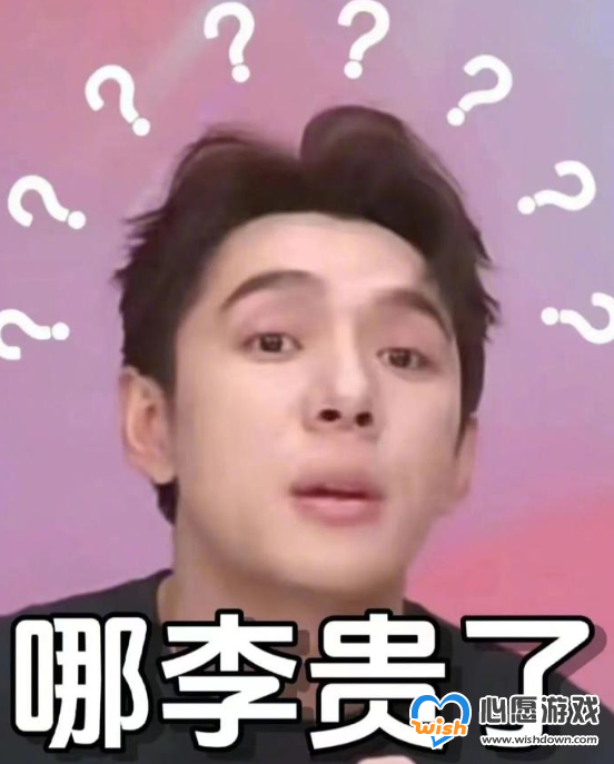 哪李贵了表情包哪里有 哪李贵了李佳琦表情包大全_wishdown.com