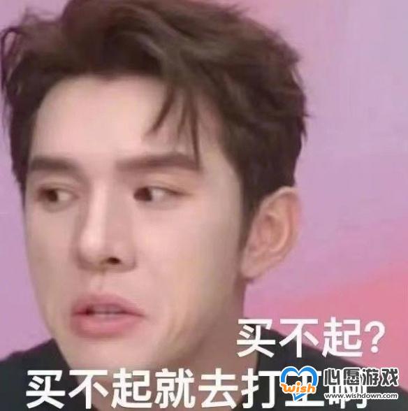 哪李贵了表情包哪里有 哪李贵了李佳琦表情包大全_wishdown.com