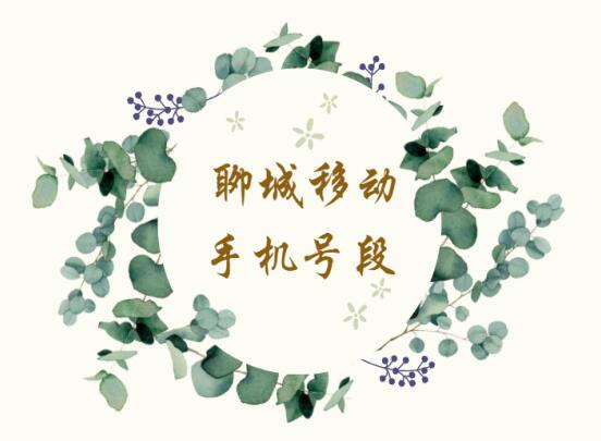 聊城手机号码,聊城移动手机号段大全在线查询