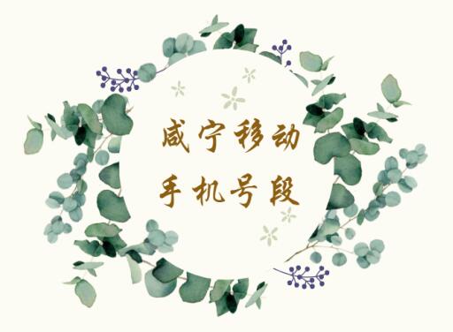 咸宁移动手机号段都有哪些？ 最全面的咸宁移动号段介绍