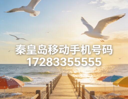 秦皇岛移动手机号码17283355555 经典五连豹子号寓意事事如意
