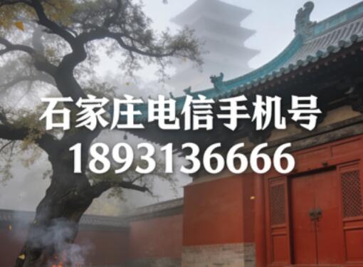 石家庄电信手机号18931366666 象征事业长久发展