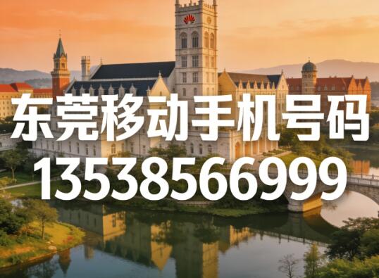 东莞移动手机号码13538566999 尾数AABBB寓意顺遂绵长