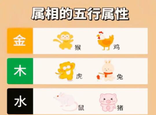 如何根据生肖五行选择合适的手机号码数字？一篇看懂数字选择技巧