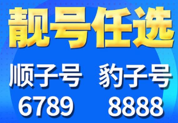 郑州电信珍稀靓号17319710115独特生日印记