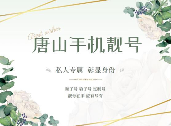 唐山电信手机靓号19131443419 风水号码寓意事事如意步步高升