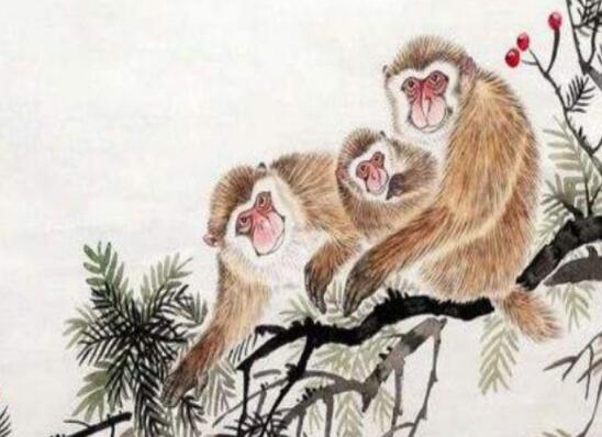 属猴的手机号码怎么选？ 这几点选号注意事项需要知道