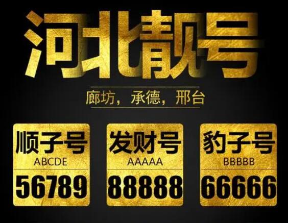 廊坊联通手机号码15531616163 靓号规律ABABAB 数字奇特