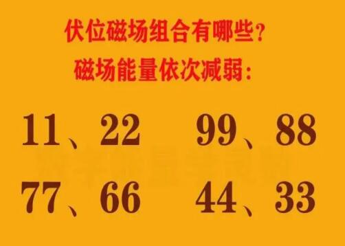 伏位磁场数组有什么特点？ 手机号码中具有伏位磁场好不好？