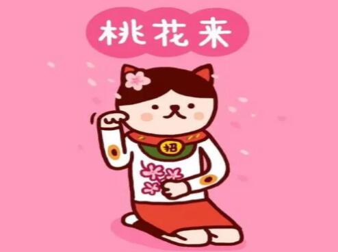 旺福旺桃花的手机尾数有哪些？ 这几个招桃花的数字一定不容错过！