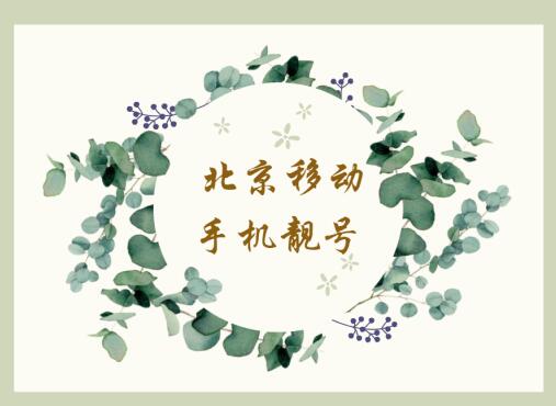 北京移动手机靓号18810568588 吉祥号码寓意我顺发我发发