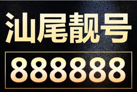 汕尾联通手机号13119800101 1980年专属生日号码