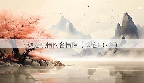 微信表情网名情侣有哪些