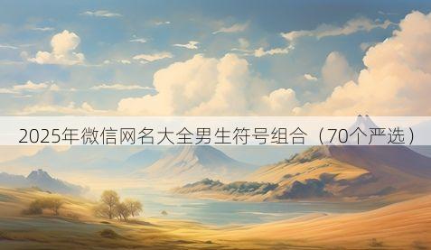 2025年微信网名大全男生符号组合有哪些