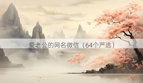 爱老公的网名微信有哪些