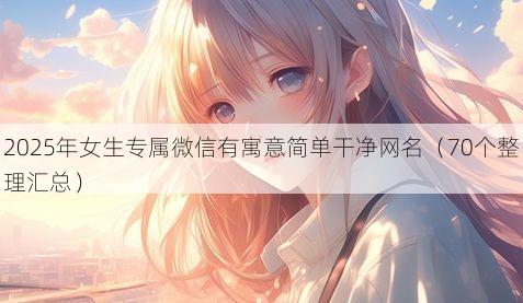 2025年女生专属微信有寓意简单干净网名有哪些