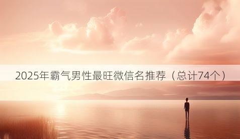 2025年霸气男性最旺微信名推荐有哪些