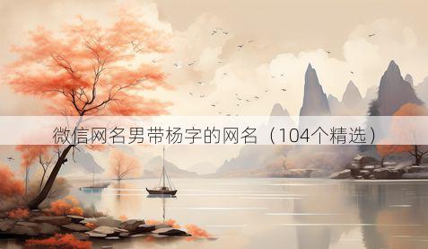 微信网名男带杨字的网名有哪些