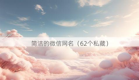 简洁的微信网名有哪些