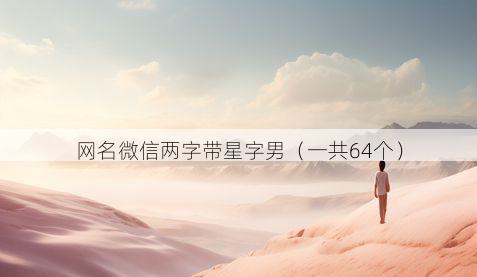 网名微信两字带星字男有哪些