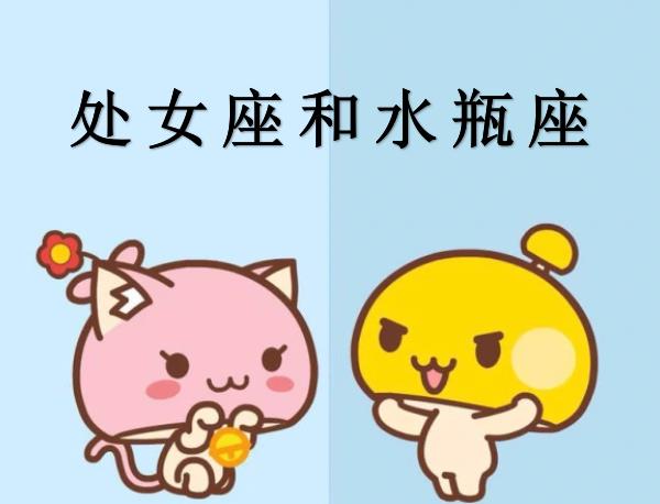 处女座和水瓶座配吗