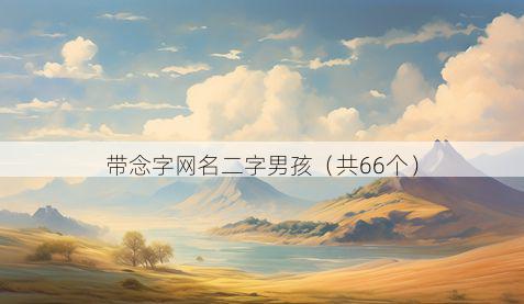 带念字网名二字男孩有哪些