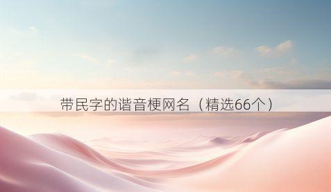 带民字的谐音梗网名有哪些
